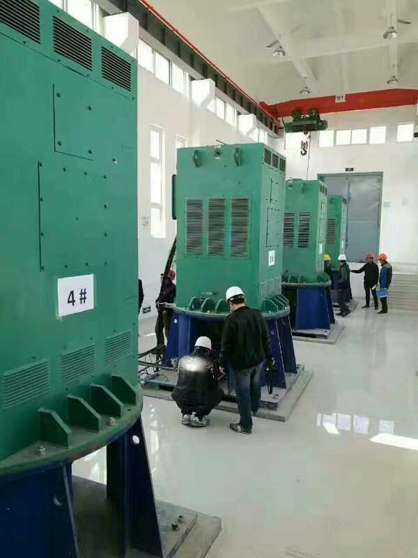 临潭某污水处理厂使用我厂的立式高压电机安装现场现货销售